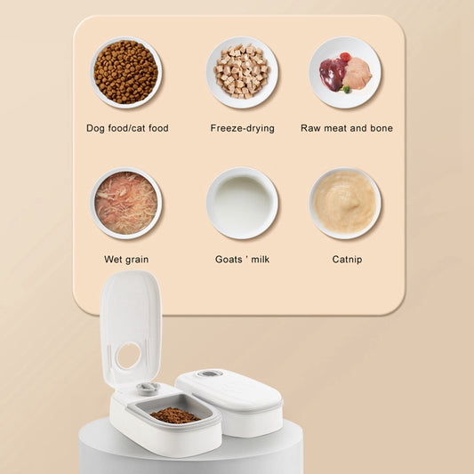 Automatic Timed Pet Feeder